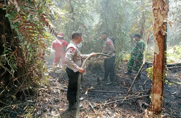 Satgas Ops Amanusa Bersama Tim Gabungan Padamkan Karhutla di Sangkuriman