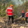 Satgas Karhutla Brimob Kaltim Berjibaku Padamkan Kebakaran Lahan di Berau