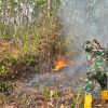 Api Kembali Muncul di Delineasi IKN, TNI Kerahkan Helikopter Caracal untuk Water Bombing