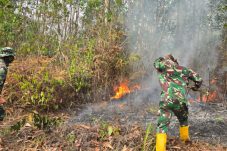 Api Kembali Muncul di Delineasi IKN, TNI Kerahkan Helikopter Caracal untuk Water Bombing