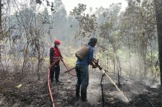 Satgas Gabungan Padamkan Karhutla Seluas 2 Hektare di Melak