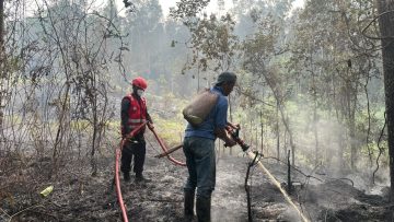 Satgas Gabungan Padamkan Karhutla Seluas 2 Hektare di Melak