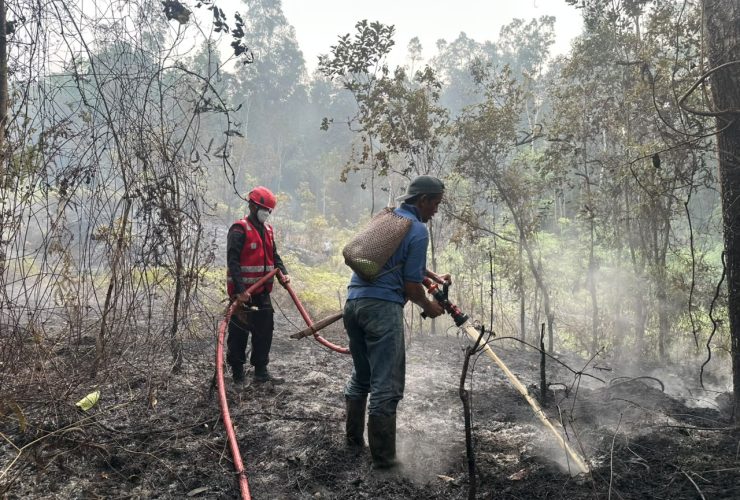 Satgas Gabungan Padamkan Karhutla Seluas 2 Hektare di Melak
