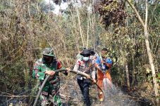 Padamkan Karhutla 13 Hektare di Lima Desa, Brimob BKO Polres Paser Sisir Titik Api