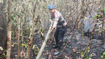 Brimob Polda Kaltim Padamkan Karhutla 2 Hektare di Paser Belengkong