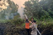 Karhutla di Nenang PPU Dipadamkan Tim Gabungan, Petugas Lanjutkan Pendinginan