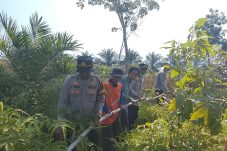 Dua Karhutla Terjadi di Penajam, Polres PPU Bersama Tim Gabungan Bergerak Cepat