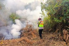 Brimob Padamkan Karhutla di Paser, Satu Hektare Lahan Gambut Terbakar