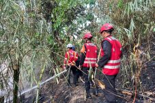 Brimob Gerak Cepat Padamkan Kebakaran Lahan di Palaran, Api Tak Sampai ke Permukiman