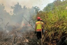 Brimob Kaltim Gerak Cepat Tangani Karhutla di Lahan Gambut Desa Pepara