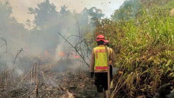 Brimob Kaltim Gerak Cepat Tangani Karhutla di Lahan Gambut Desa Pepara