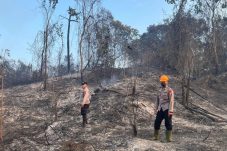 Brimob Kaltim Bergerak Cepat, Kebakaran Perkebunan Warga di Bengalon Berhasil Dipadamkan