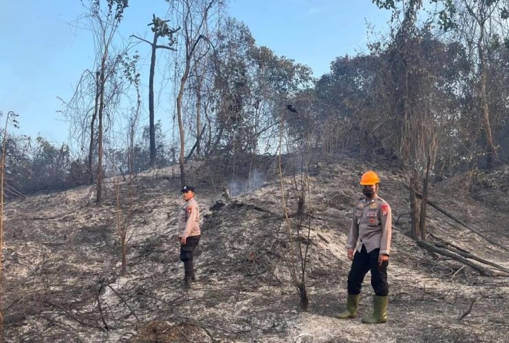 Brimob Kaltim Bergerak Cepat, Kebakaran Perkebunan Warga di Bengalon Berhasil Dipadamkan