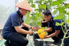 Panen Melon dan Lele di SAE Lapas Balikpapan, Warga Binaan Didorong Miliki Keterampilan Produktif