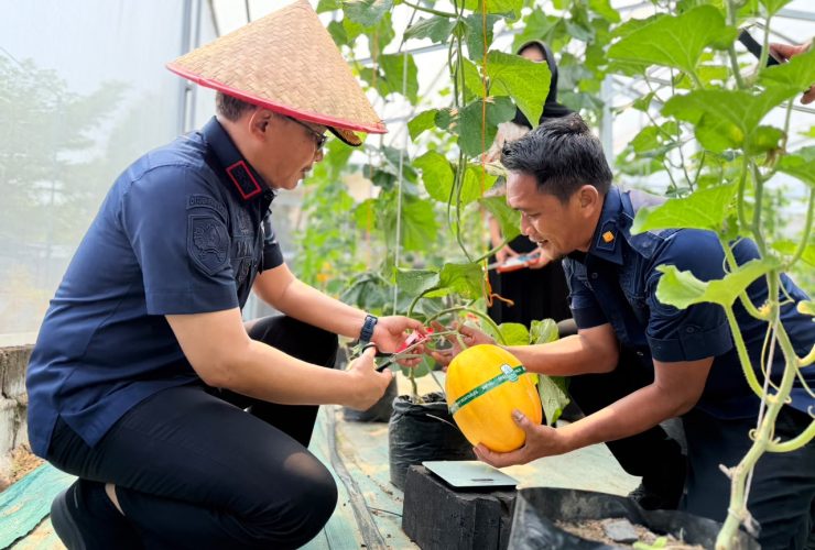 Panen Melon dan Lele di SAE Lapas Balikpapan, Warga Binaan Didorong Miliki Keterampilan Produktif