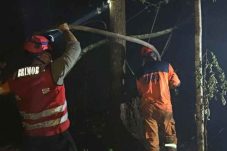 Sinergi Satbrimob Polda Kaltim dan Tim Gabungan, Karhutla 200 Hektare di Kutai Barat Berhasil Dikendalikan