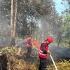 Gerak Cepat Brimob Polda Kaltim Bersama BPBD Atasi Karhutla 20 Hektare di Kutai Barat
