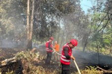 Gerak Cepat Brimob Polda Kaltim Bersama BPBD Atasi Karhutla 20 Hektare di Kutai Barat