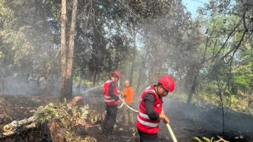 Gerak Cepat Brimob Polda Kaltim Bersama BPBD Atasi Karhutla 20 Hektare di Kutai Barat