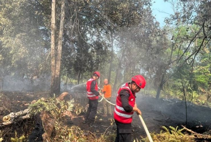 Gerak Cepat Brimob Polda Kaltim Bersama BPBD Atasi Karhutla 20 Hektare di Kutai Barat