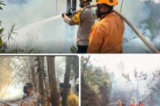 Buru Titik Api, Polsek Gunung Tabur Polres Berau Bersama Tim Gabungan Jinakkan Empat Hotspot Karhutla