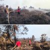 Satgas Karhutla Brimob Kaltim Bergerak Cepat, 2,5 Hektare Lahan Gambut di Kukar Berhasil Dipadamkan