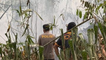Polsek Bentian Besar Bersama Tim Gabungan Padamkan Karhutla Seluas 7 Hektare di Kutai Barat