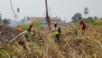 Brimob Polda Kaltim Padamkan Karhutla Seluas 2 Hektare di Tanah Grogot