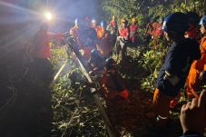 Dua Tower SUTT 150 kV Roboh Akibat Pohon Tumbang, PLN Kerahkan Lebih Dari 100 Personel Gabungan untuk Percepat Pemulihan Kelistrikan Berau