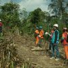 PLN Tambah Pasokan Listrik Kalimantan Jadi 53 MW, Dua Tower Darurat di Berau Rampung Berdiri