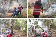Brimob Polda Kaltim Padamkan Karhutla di Manggar, Balikpapan Timur